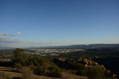 DSC_5552 (Large).JPG